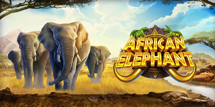 Panduan Menang Maxwin Di Slot African Elephant Untuk Pemula Panduan Menang Maxwin Di Slot African Elephant Untuk Pemula